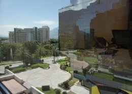 negocios en monterrey