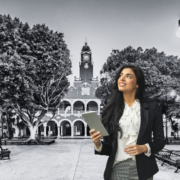 negocios rentables en mérida