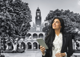 negocios rentables en mérida